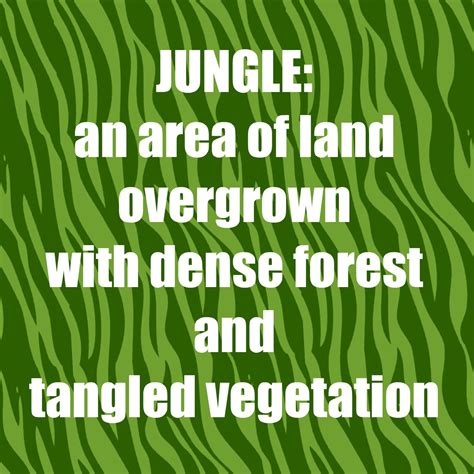 What's missing in the Special Needs Jungle?