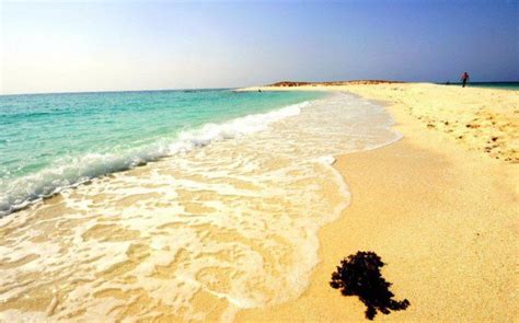 Eritrea Beaches: Exploring the Unspoiled Beauty