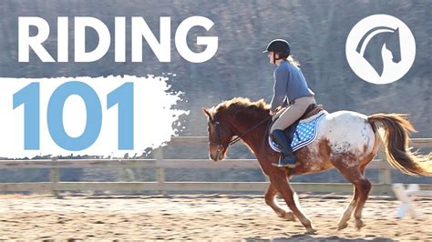 HOW TO RIDE A HORSE (EASY BEGINNERS GUIDE) - YouTube