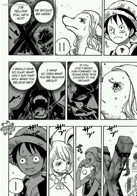 One Piece: Zou Arc (Manga) Chapter 806 | Anime Amino