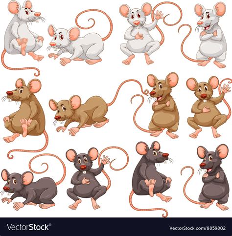 Mouse with different fur color Royalty Free Vector Image