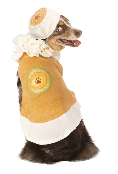 Pumpkin Spice Latte Dog & Cat Costume - Pet Costume Center