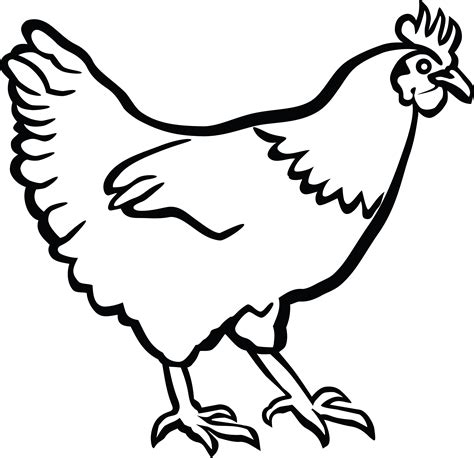 Chicken clipart outline, Chicken outline Transparent FREE for download ...