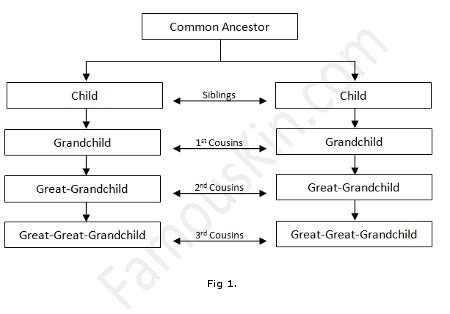 Consanguinity Chart