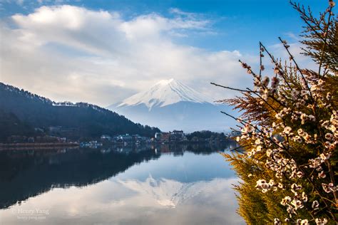 Mount Fuji, Lake Kawaguchiko, Japan - Henry Yang Photography