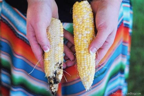 Are GMOs Safe to Eat? From a Farmer | The Soccer Mom Blog