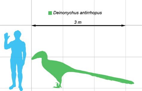 Deinonychus | Swift and Deadly Raptor | Early Cretaceous