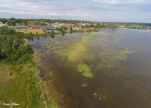 Expanding Community Benefit - Scugog Lake Stewards