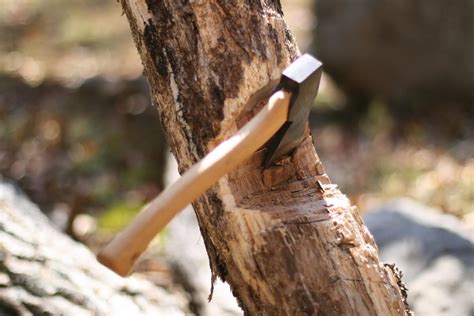 Timbeerrr! How to Fell A Tree with an Ax - American Outdoor Guide