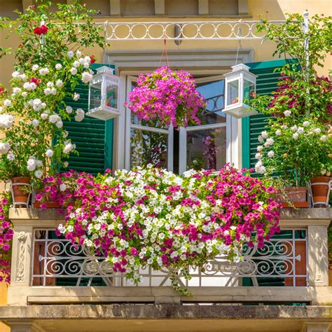 Best Balcony Garden Design Ideas for 2021 | Design Cafe