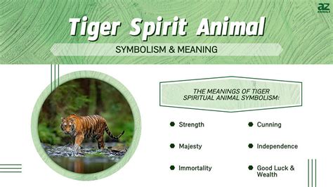 Native American Animal Symbols And Their Meanings