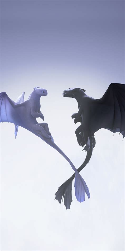 Night and light fury, love in air, dragons, flight Wallpaper | How ...