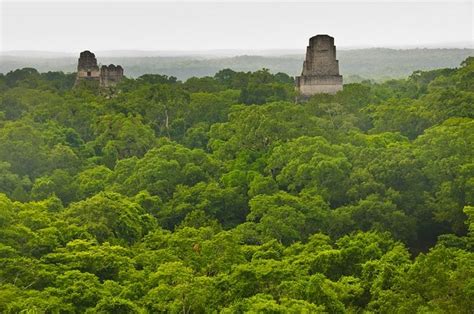 Tikal Maya Ruins – Belize Adventure