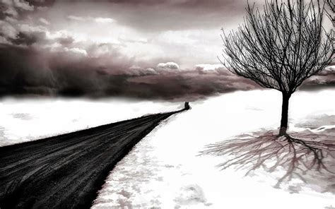 Black Road Snow Tree Shadow and Stock HD wallpaper | Pxfuel