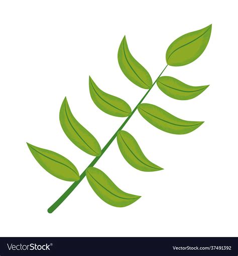 Bamboo leaf icon Royalty Free Vector Image - VectorStock