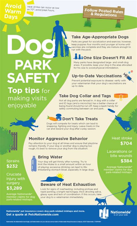 Nationwide Pet Insurance: Dog Park Safety – Discount Tire Family