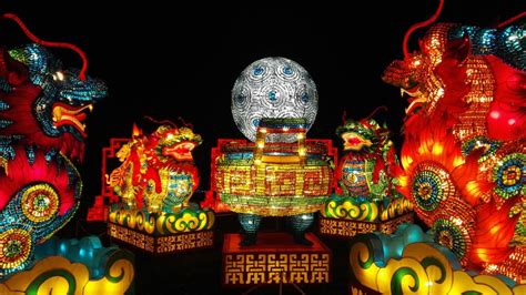 Chinese giant lanterns illuminate Edinburgh Zoo - CGTN