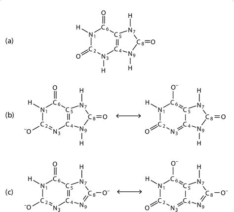 Structures of the most stable tautomers of (a) uric acid H 2 U, (b ...