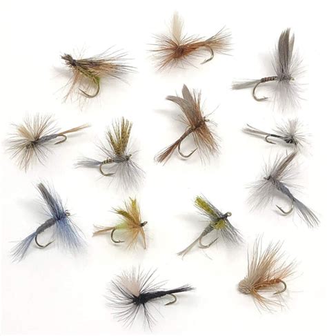 Feeder Creek Fly Fishing Assortment - 72 Flies in 12 Trout Crushing Pa