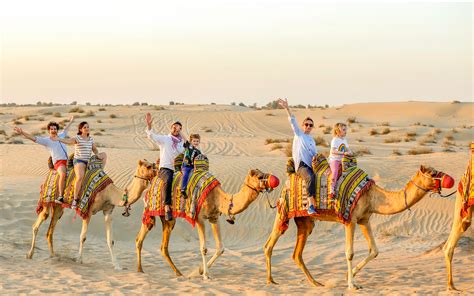 Top 6 Dubai Morning Desert Safari – Tickets, Transfers