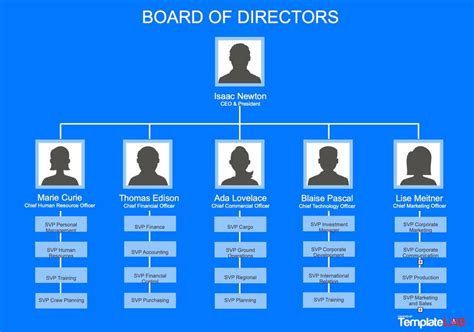 11 Free Org Chart Templates PowerPoint, Word, & ClickUp