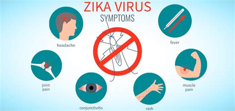 Zika Virus infection: Symptoms, causes, diagnosis and treatment ...