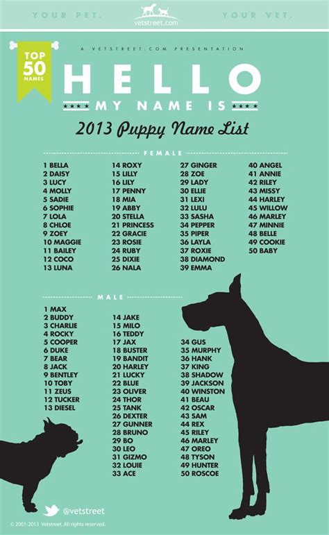 The 25+ best Pet names for dogs ideas on Pinterest