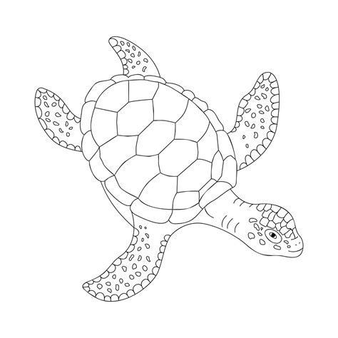 Sea Turtle outline animal illustration 23889488 Vector Art at Vecteezy