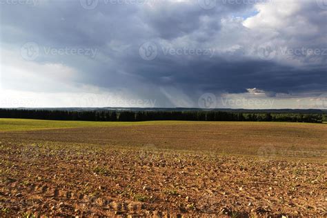 Field of corn 9488006 Stock Photo at Vecteezy