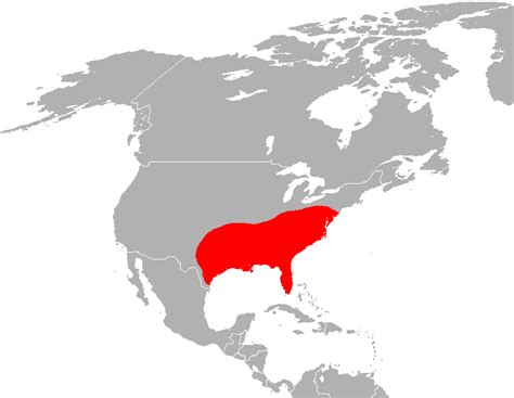 Abe's Animals: Historical red wolf range map