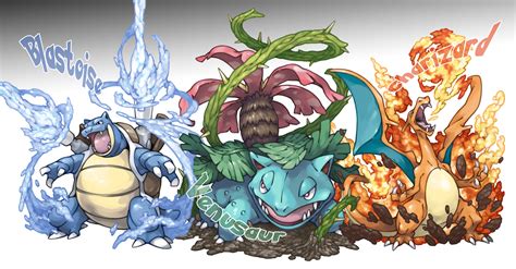 Venusaur Blastoise Charizard Mega Evolution