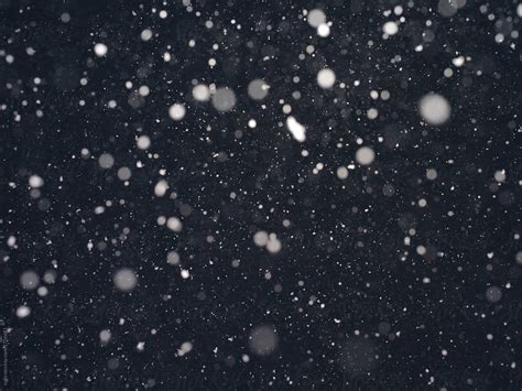 snowfall at night by rolfo - Stocksy United