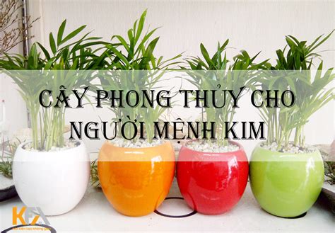 [GIẢI ĐÁP] Thổ sinh Kim là gì? Thổ sinh Kim có tốt không?