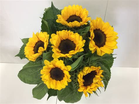 Sunflower Bouquet | Flower Wholesalers Takapuna