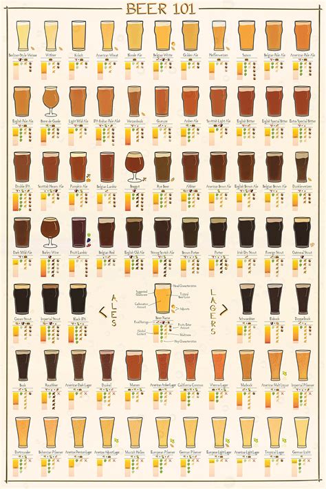 Buy NG Guide Types Large Print 29x44 Chart Lager Ale Porter Alcohol Art ...