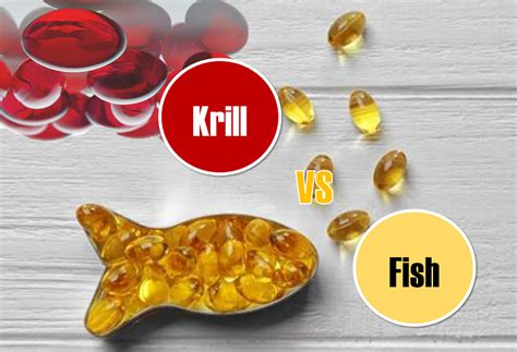 Fish Oil Vs. Krill Oil: Which is Better For Your Health?