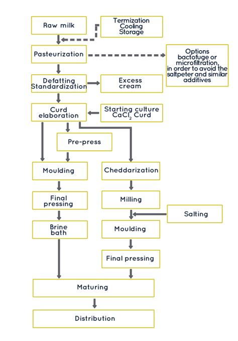 Cheese Making: Basic concepts - Concentrol