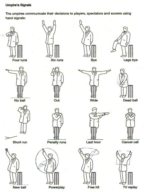 cricket-umpire-signals