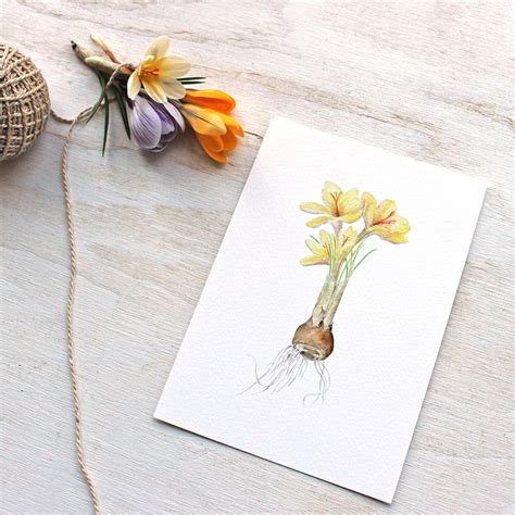 Crocus Watercolor Print - Yellow – Trowel and Paintbrush