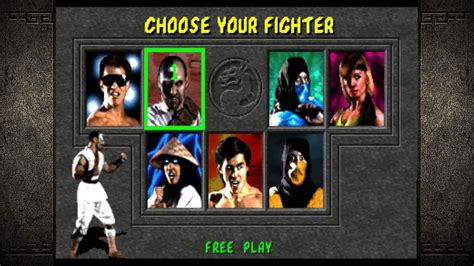 Mortal Kombat (1992) Characters - Full Roster of 7 Fighters