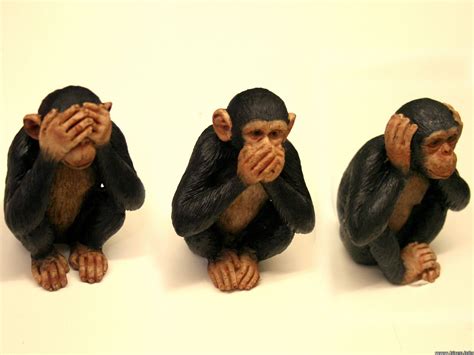 How to Live a More Fulfilling Life: # Three Wise Monkeys