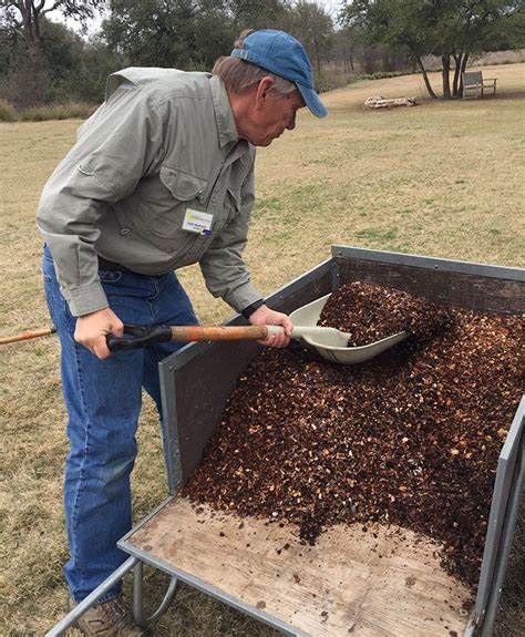 The Advantages of Pecan Shell Mulch - FineGardening | Mulch, Pecan ...