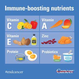 How To Improve Immune System - Sinkforce15