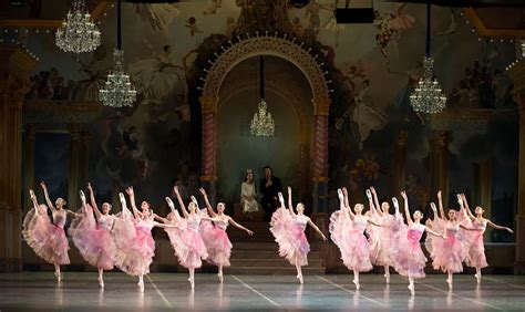 Boston Ballet's Nutcracker | Dance all day, Nutcracker ballet, Ballet tutu