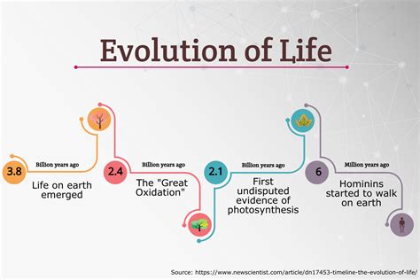 Timeline Chart Infographic