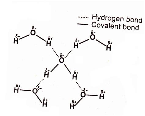 Hydrogen Bonding | Chemistry Skills