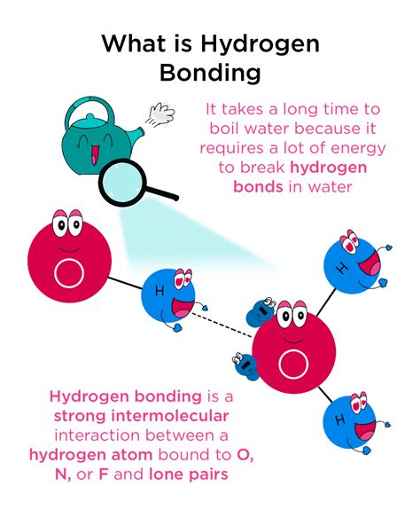 Hydrogen Bonding — Definition & Overview - Expii