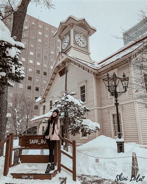 WINTER WONDERLAND IN HOKKAIDO — SHINI LOLA | Your Guide to Travel ...