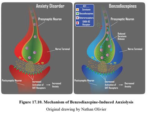 Are Benzodiazepines Anxiolytics? - Addict Advice