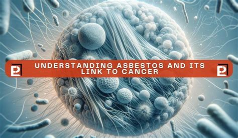 Asbestos And Cancer: Understanding Risks And Prevention | Peerless ...